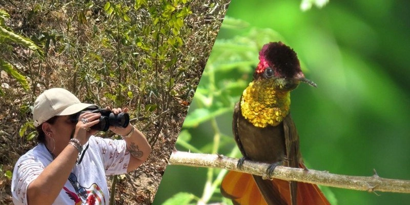Paraíba é destaque nacional no turismo de observação de aves