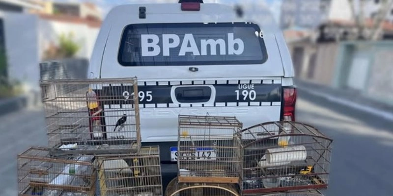 Polícia Militar Ambiental registra duas ocorrências na Paraíba