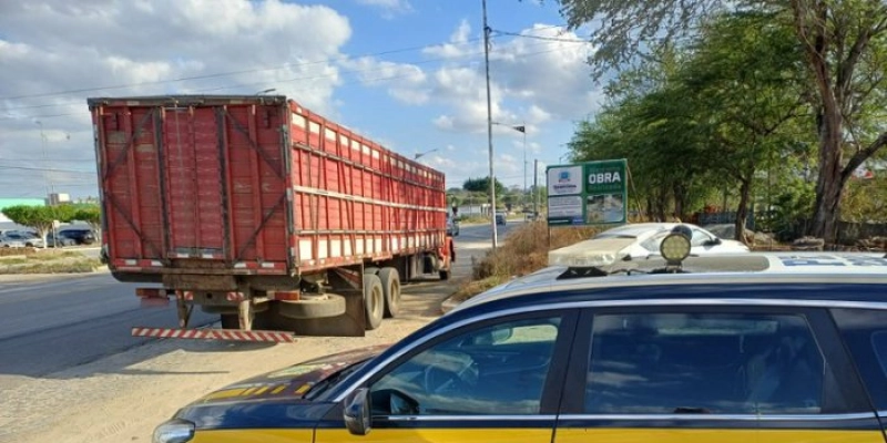 PRF flagra transporte irregular de animais durante fiscalização na BR-104, em Queimadas