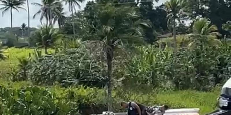 Acidente com carro-forte deixa feridos neste sábado (20), na Paraíba
