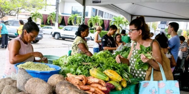 Programa ‘Eu Posso Semear’ fortalece agricultura familiar e sustentabilidade em João Pessoa