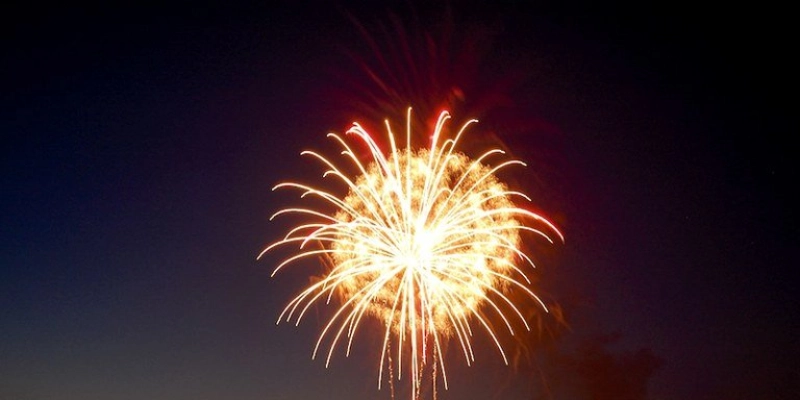 Fogos de artifício acarretam sofrimento físico e risco para animais