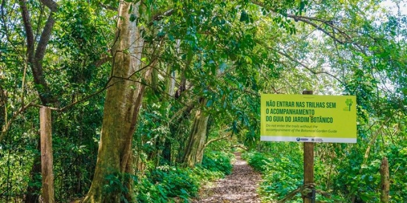 Férias no Jardim oferece atividades educativas e de lazer ambiental aos sábados de janeiro