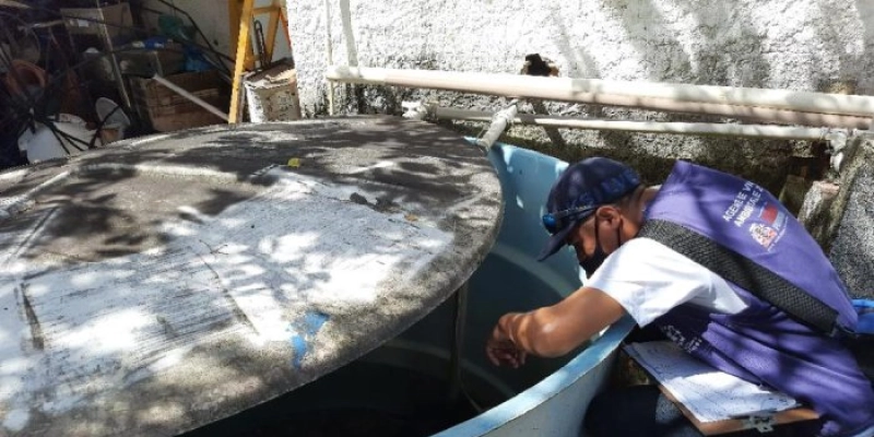 Secretaria de Saúde de João Pessoa alerta para prevenção e combate ao mosquito Aedes aegypti