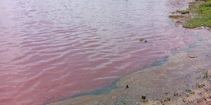 Semam notifica Cagepa e Sudema por poluição na área do Parque das Três Lagoas