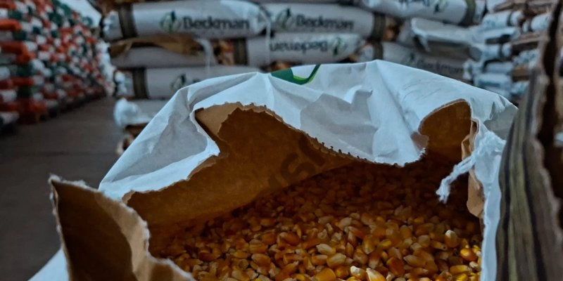 Governo da Paraíba distribui 520 toneladas de sementes com agricultores de todo Estado 