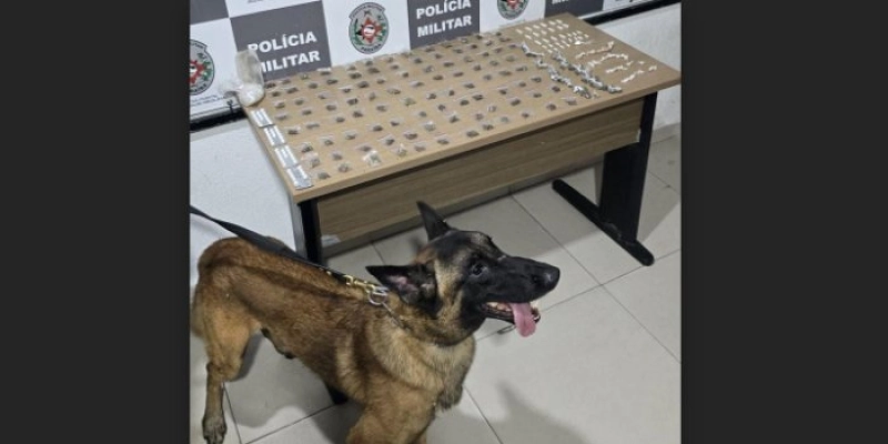 Com ajuda de cão farejador, Polícia Militar desarticula ponto de droga, na PB