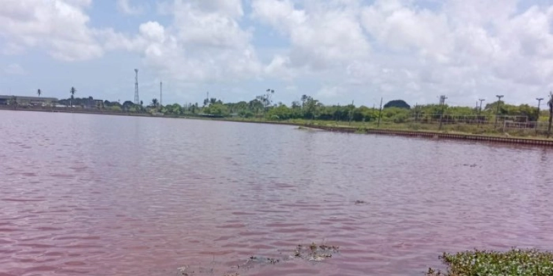Após ação da Secretaria de Meio Ambiente de João Pessoa, Sudema multa empresa que poluiu Três Lagoas