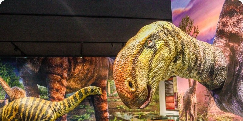 Jardim Botânico e Vale dos Dinossauros terão horários especiais durante o Carnaval