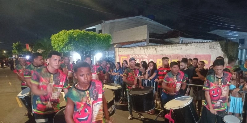Ala Ursa Gavião leva solidariedade à avenida com foco na doação de sangue