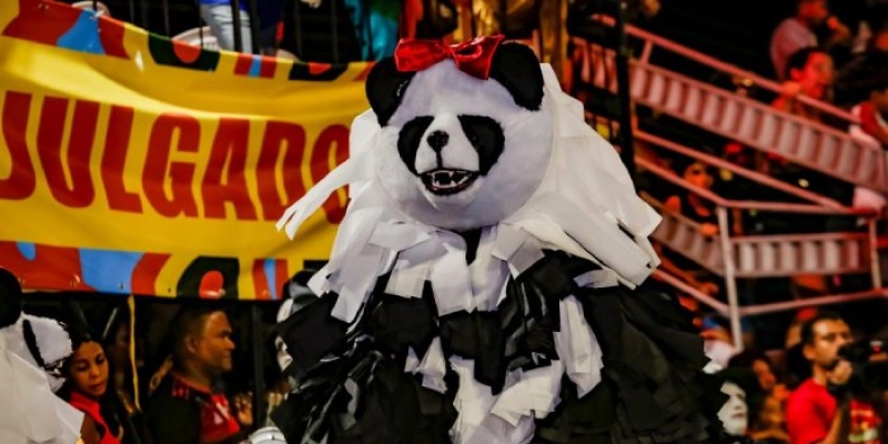 Desfile das Ala Ursas leva alegria e irreverência ao Carnaval Tradição 2026 neste sábado e domingo