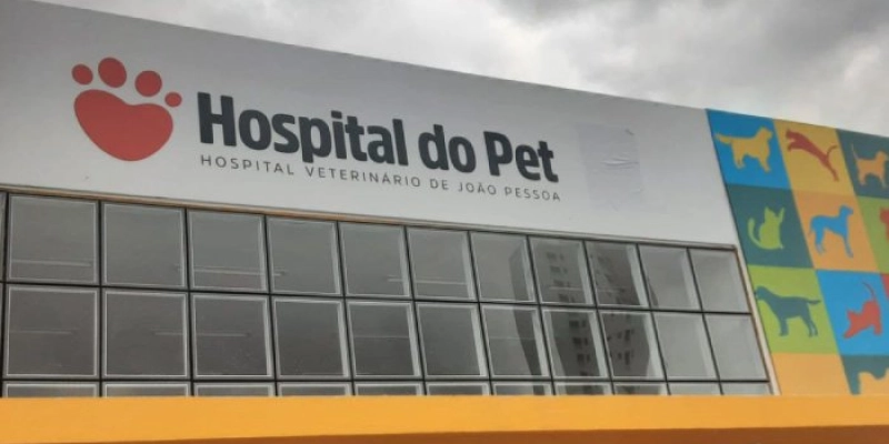 Prefeitura realiza mutirão e Dia D de cuidados para animais idosos na Clínica e no Hospital do Pet