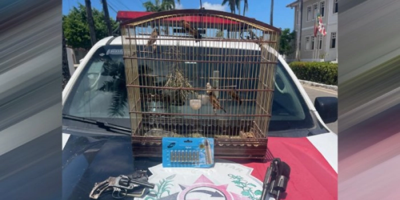 Polícia Militar prende homem por crime ambiental e apreende duas armas de fogo