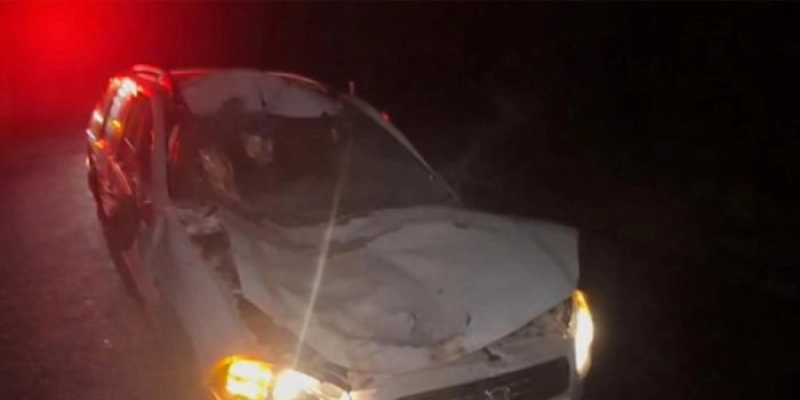 Sequência de acidentes: Familiares de condutor envolvido em batida fatal colidem com animal na PB-400
