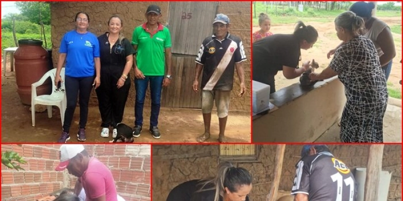 Saúde animal: Prefeitura de Lastro promove mutirão de assistência veterinária na zona rural
