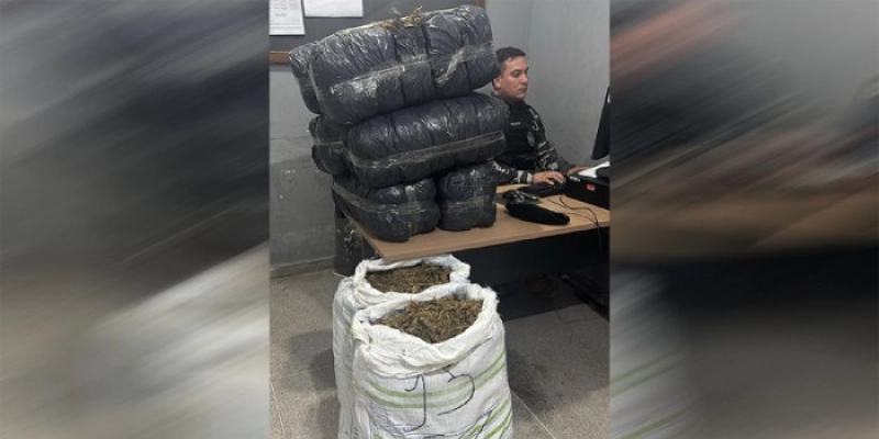 Ação da PM realiza apreensão de mais de 60 Kg de maconha no interior da PB