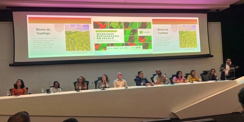 Projetos Regulariza-PB e Nascente Viva ganham destaque em workshop nacional sobre restauração da vegetação nativa em Brasília