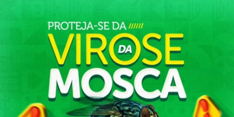 Prefeitura de Aparecida emite alerta sobre riscos à saúde causados pela proliferação de moscas