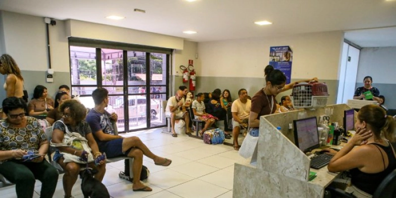 Clínica do Pet fortalece atendimento, amplia serviços e consolida rede pública de cuidado animal em João Pessoa