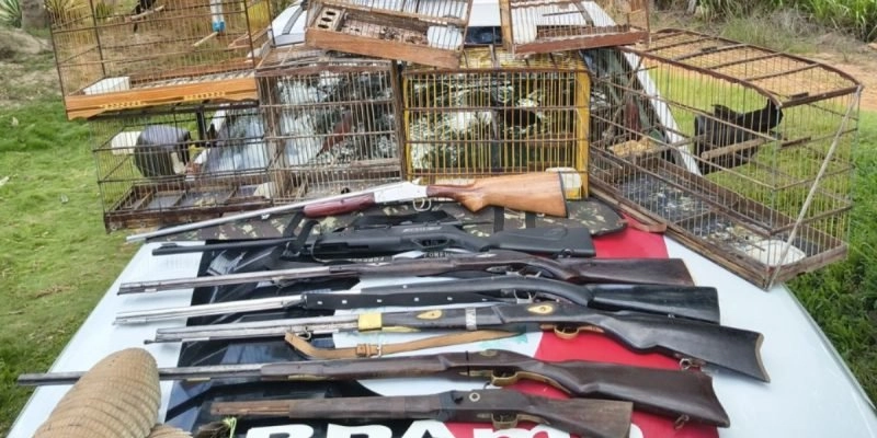 Suspeito de manter aves em cativeiro é preso com armas 