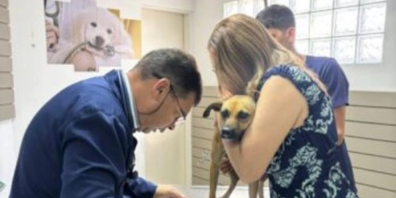 Cadela é resgatada após denúncia de abuso sexual na PB; idoso é detido