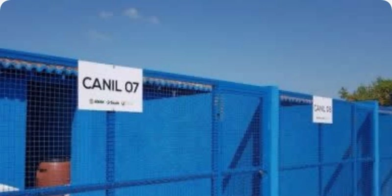Prefeitura de Sousa abre licitação de R$ 391 mil para aquisição de insumos do canil municipal