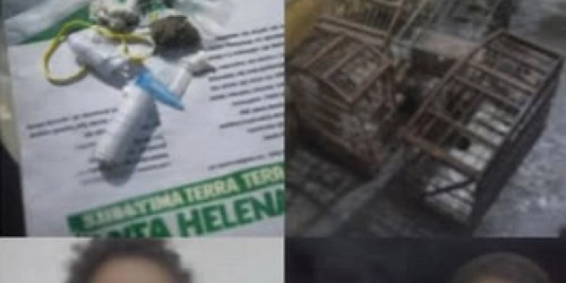PM reprime desordem, prende suspeitos por desacato e apreende drogas e aves silvestres em Santa Helena
