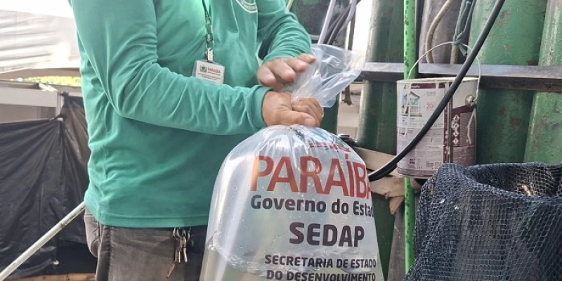 Estado distribui quase meio milhão de alevinos neste mês na Paraíba