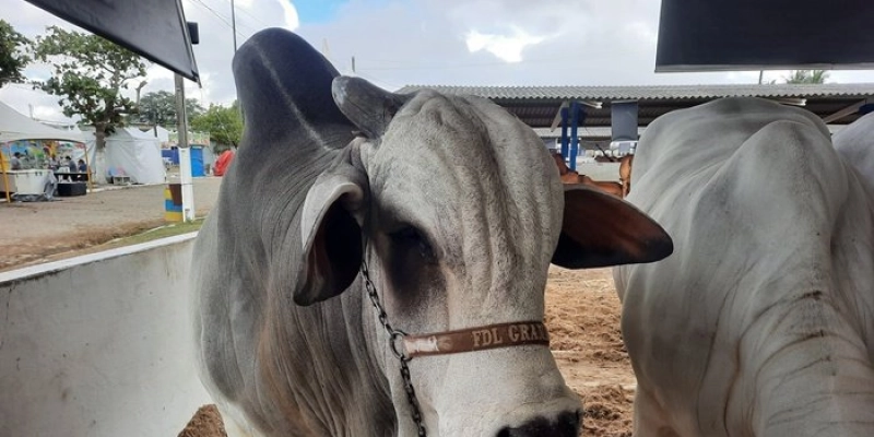 Governo da Paraíba apoia a realização do 4º Agro Barra, em Barra de Santana