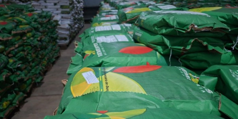 Sedap-PB distribui mais 241 toneladas de sementes para produtores rurais paraibanos