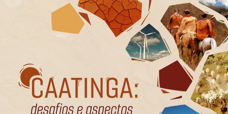 MPF promove encontro sobre desafios socioambientais da Caatinga, na Paraíba