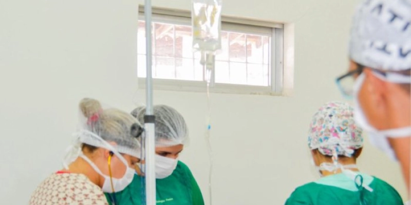 Prefeitura de João Pessoa inicia cirurgias de castração de cães e gatos no Centro de Controle de Zoonozes