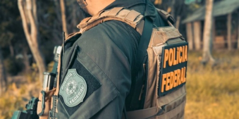 PF e PM erradicam cultivo ilícito de maconha no interior da Paraíba