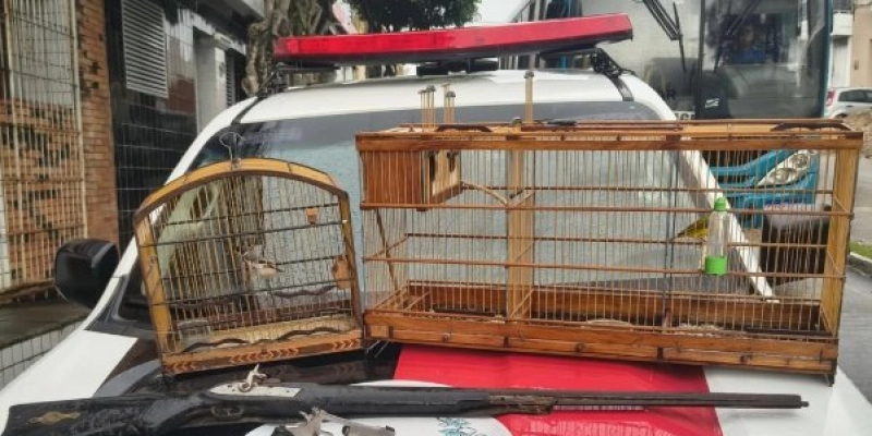 Operação termina com apreensão de aves silvestres, armas e prisão em flagrante