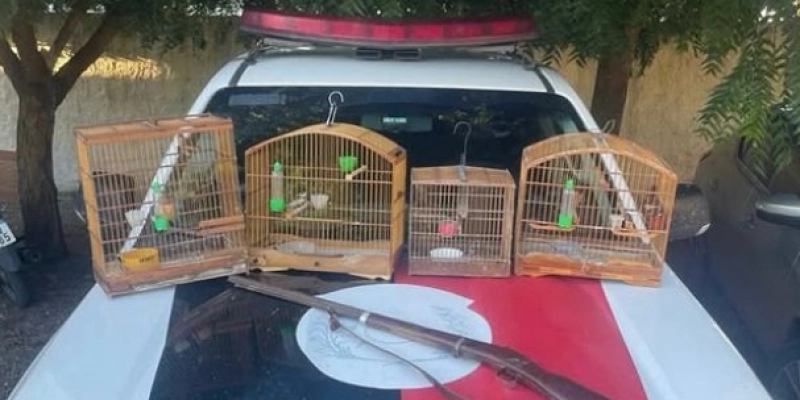 Polícia Militar apreende arma de fogo e resgata aves silvestres