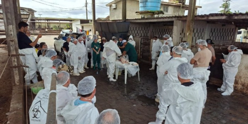 Sedap-PB promove capacitação com profissionais sobre sanidade animal