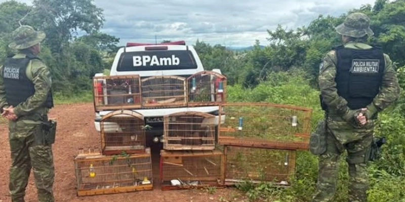 Operação do Batalhão Ambiental resgata 25 aves silvestres e aplica mais de R$ 4 mil em multas