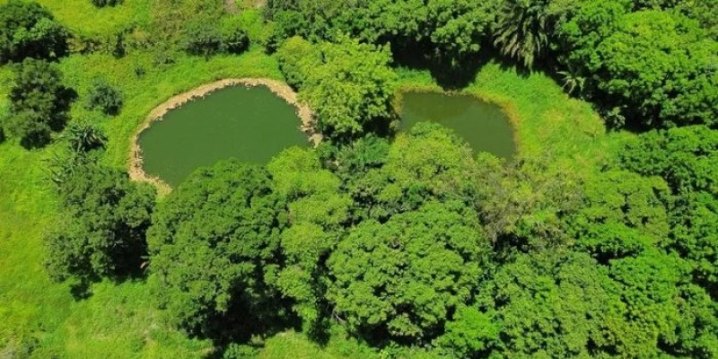 Governo da Paraíba abre oficialmente Semana do Meio Ambiente com lançamento do Projeto Sertão Vivo