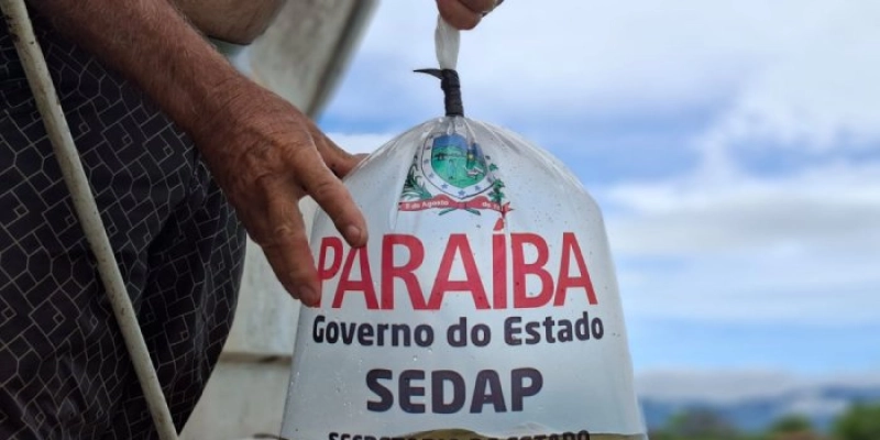 Piscicultura vai distribuir 120 mil alevinos para quatro municípios na próxima sexta, no Sertão