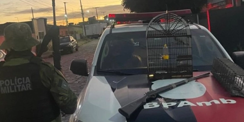 Fiscalização ambiental resulta em apreensão de ave silvestre e arma artesanal em Bananeiras