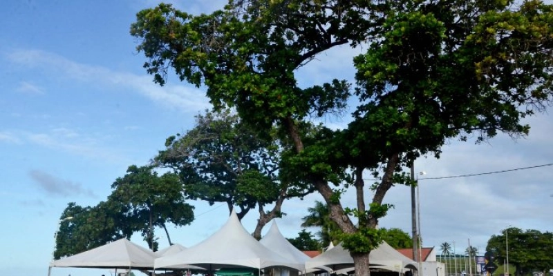 Feira Móvel retorna ao Largo da Gameleira com edição especial a partir desta quarta-feira