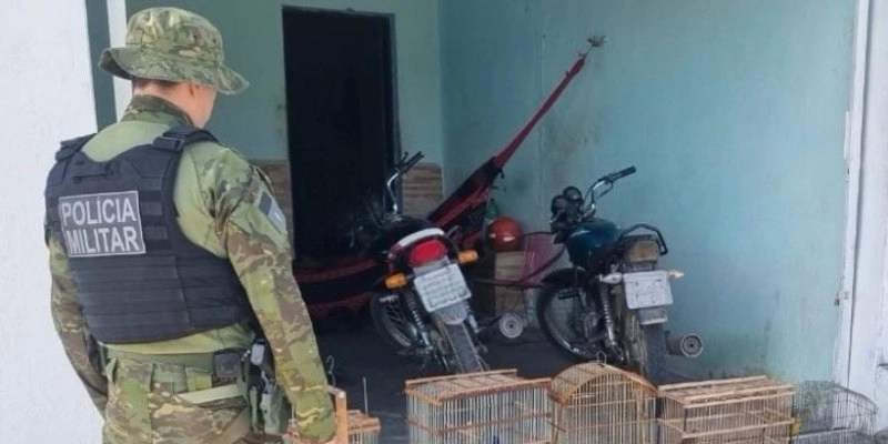 Homem é levado à delegacia após manter 7 aves silvestres em cativeiro ilegal no Sertão da Paraíba