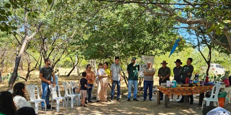 Empaer e Prefeitura de Brejo do Cruz firmam parceria e estimulam a meliponicultura