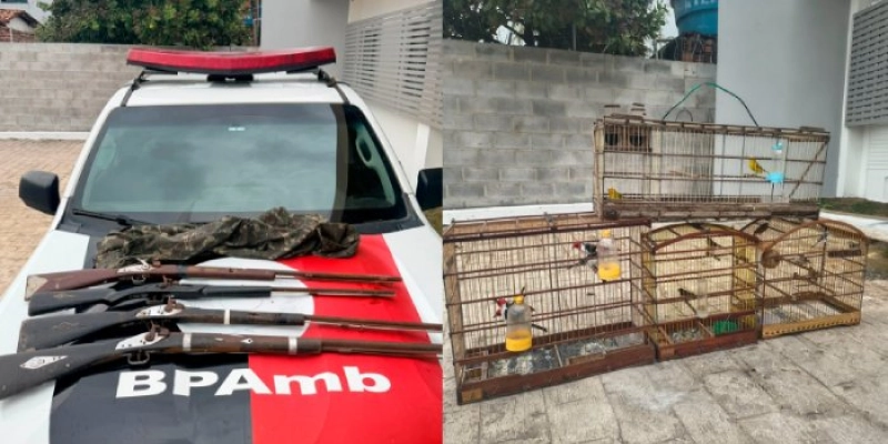 Polícia Militar apreende aves silvestres e armas de fogo no interior paraibano
