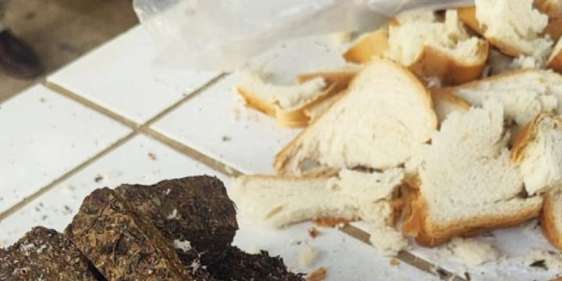 Mulher é presa ao tentar entrar com mais de 250 g de maconha escondida em pães na Cadeia Pública de Pombal