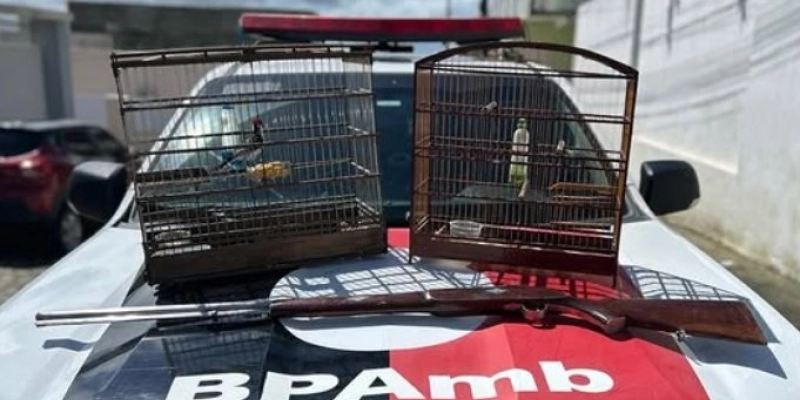 BPMA flagra cativeiro ilegal de animal silvestre e apreende espingarda