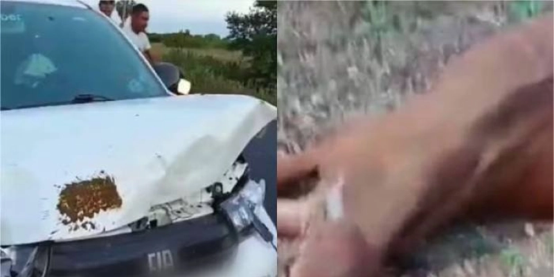 Filho de Neto Araújo sofre acidente de carro a caminho do velório do pai no RN