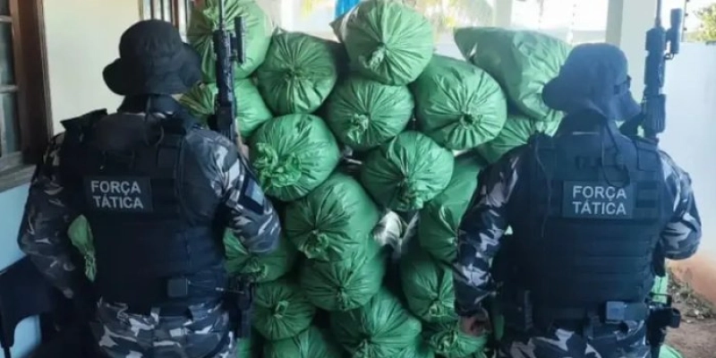 PM apreende 430 kg de maconha e captura suspeito de cinco homicídios no interior da PB