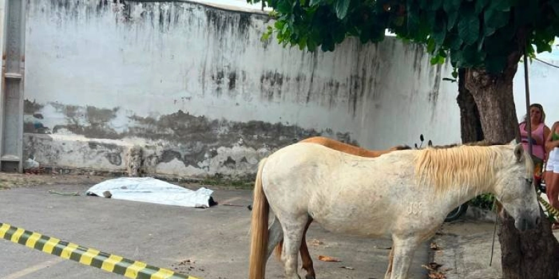 Idoso de 64 anos morre após ser arrastado por cavalo no centro de São José de Piranhas