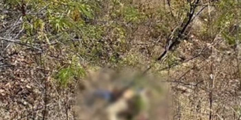Agricultor encontra cadáver em área de matagal no Sítio Jenipapeiro, em São José de Piranhas